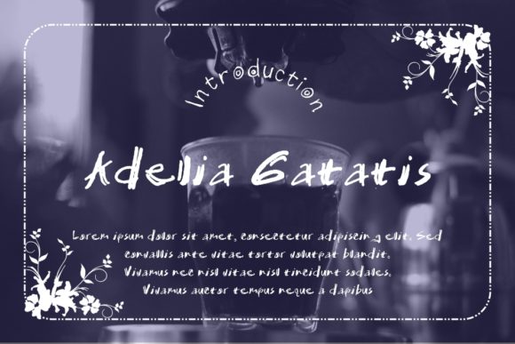 Adelia Gatatis Font: Elevating Small Business Branding