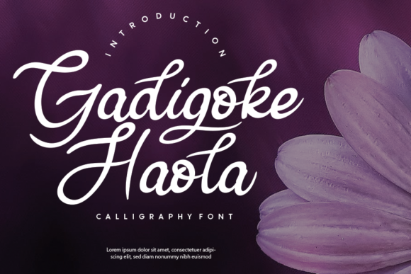 Gadigoke Haola Font: Elegant Script for Web Design