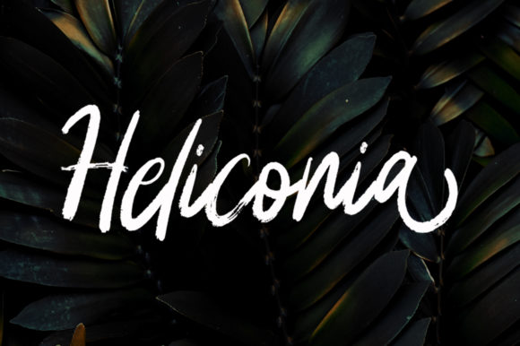 Heliconia Font: Hand Brushed Script for Makers