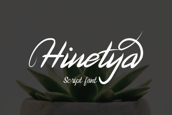 Hinetya Font: Versatile Typography for Digital Campaigns