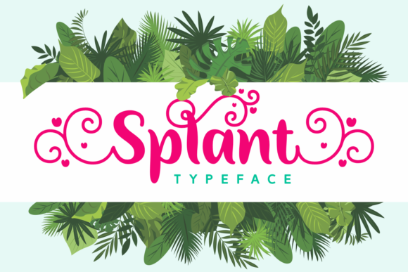 Splant Font: Elevating Campaign Visuals with Elegant Script