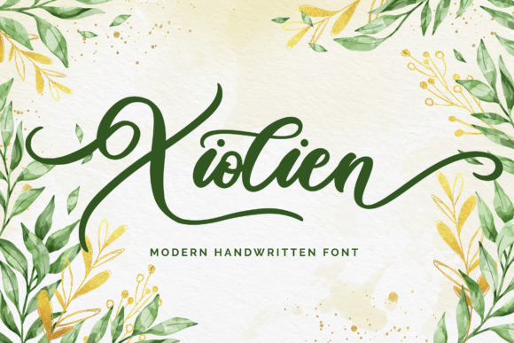 Xiolien Font Review: Elegant Script for Digital Campaigns